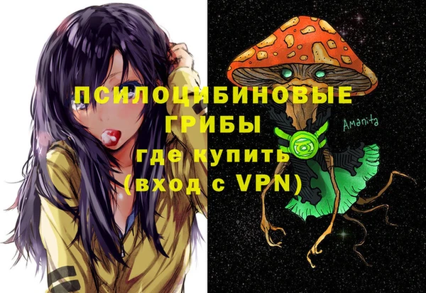 ПСИЛОЦИБИНОВЫЕ ГРИБЫ Алексеевка